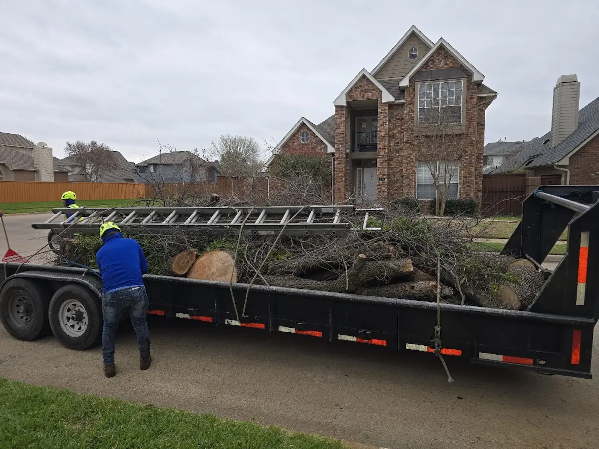Expert Lot Clearing with proper safety equipment in Hamilton